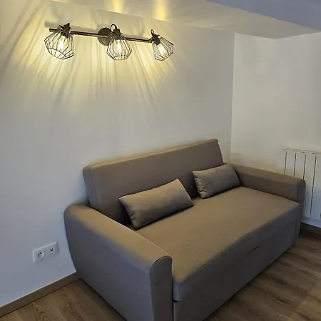 Le Loft Des Remparts - Vieille Et Parking Prive Apartment
